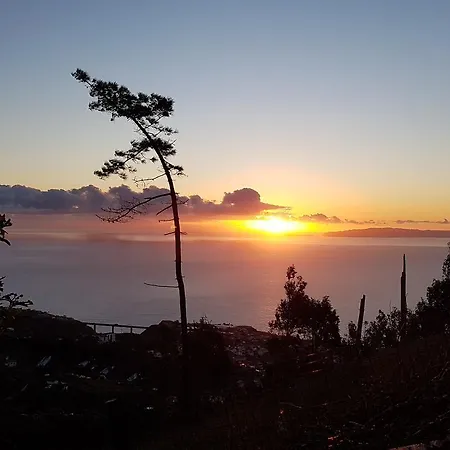 Inmountain Farm stay Canico (Madeira)